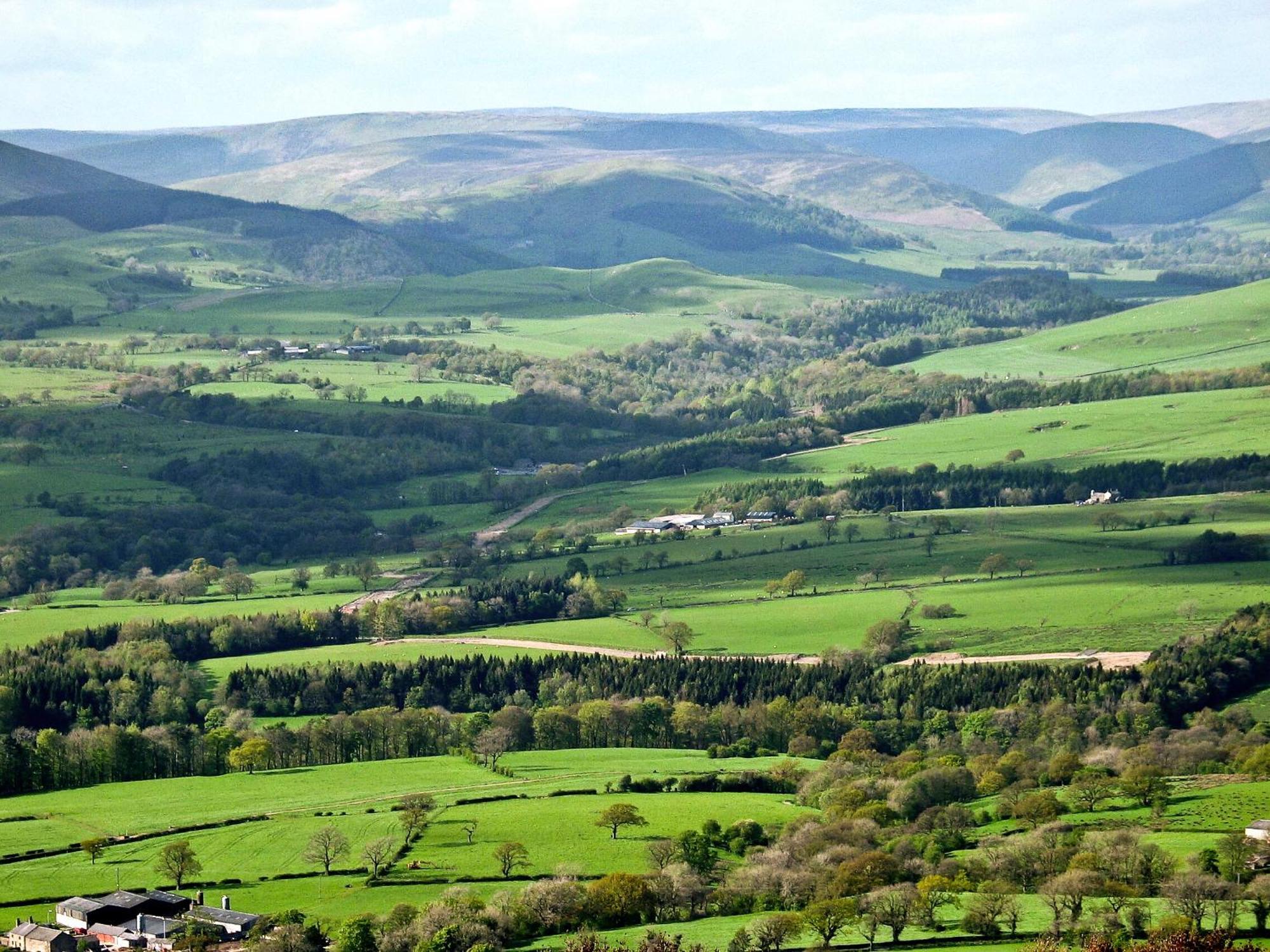 Gibbon Bridge Hotel Clitheroe Exteriör bild